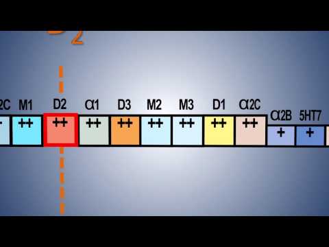 The Pines, the Dones, Two Pips and a Rip