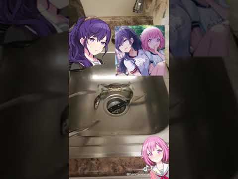 project sekai as TikTok’s except it’s like the same 5 characters