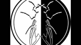 Nalin & Kane - Backfire