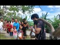 KING COBRA NA TUMITITTILAOK ANG PINAHULI KAY COBRA PRINCE