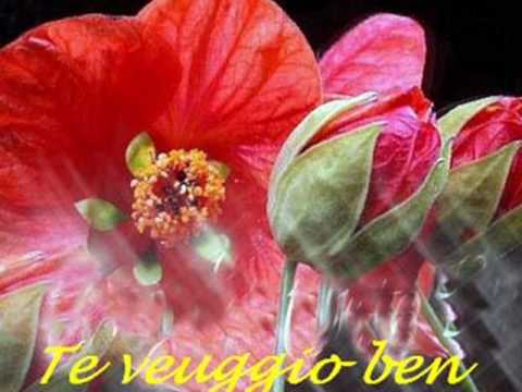 Te veuggio tanto ben    -   Franca Lai  &  Matteo Merli