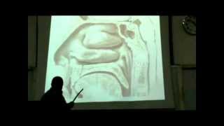 Dr Sherif Galal Neck 15 "Nose , Nasal cavity & Paranasal sinus "