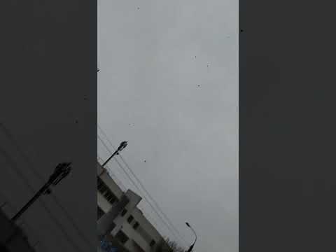 #arrahman #coversong #song #music #remix #hamsika #spedup #shorts snow