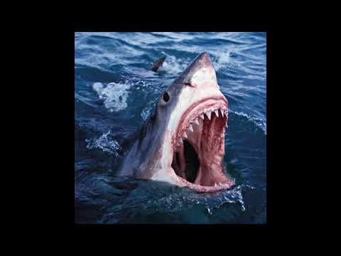 Conway & The Alchemist ft. Schoolboy Q - "Shoot Sideways" (Audio | 2020)