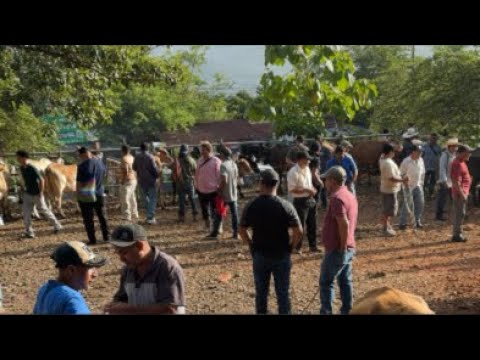 Tiangue de Osicala, Morazán,El Salvador, viernes 17 de julio 2026