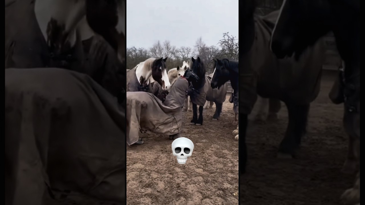 POV: You see the best costume horse ever 🎭🐎 #shortvideo