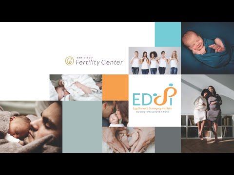 Navigating the Egg Donor and Surrogate Selection Process
