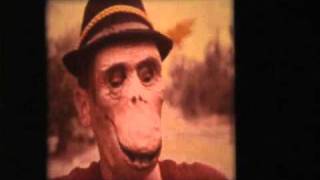 ONE GOT FAT live BIKE SAFTEY FILM PART 2