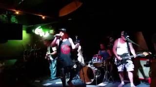 Jurassic Punx Surf Dogs!