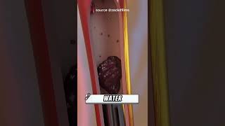 Download lagu Blood Clot Sucked from Brain 😱 #fypシ #pov #snake #facts #viral #funny #remix mp3