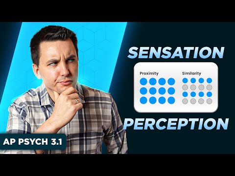 Sensation and Perception [AP Psychology Unit 3 Topic 1]