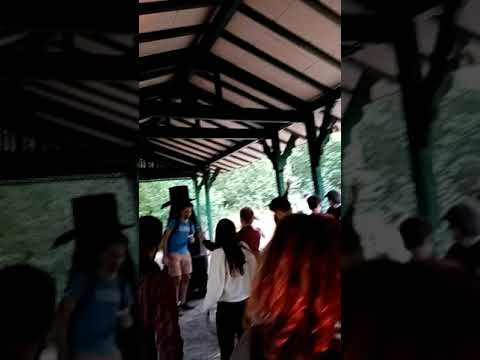 Indy Boca #Neboty Roots Corner