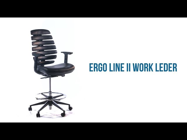 Video Teaser für ERGO LINE II - Funktionsvideo