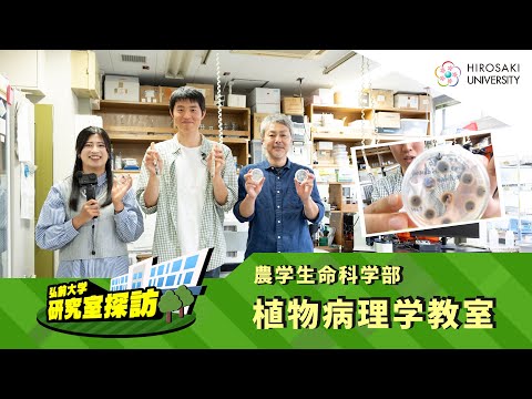 【弘前大学 研究室探訪！】～農学生命科学部 植物病理学教室（田中和明教授）編～