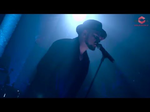 cover by Max Lorens: Stevie Wonder - "They Won't Go When I Go"