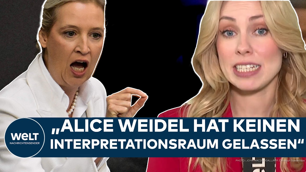WEIDEL ATTACKIERT MERZ: Eskalation im Bundestag! AfD und CDU geraten aneinander! "Frontal-Klatsch"