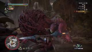 12日目 モンハン初見プレイ 〜操虫棍の使い手〜【モンスターハンターワールド】