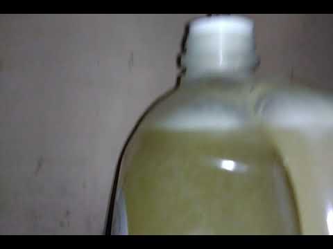 Acerglyn 2 days in the Fermenter