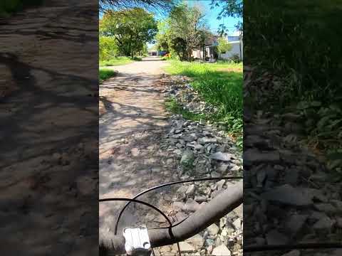 🚗🐕 Calle de barrio en Chaco: autos, ciclistas y perros