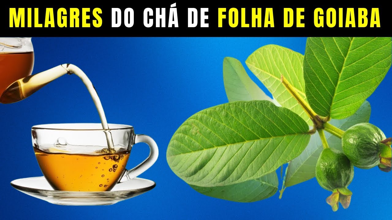11 Razões Incríveis para Beber Chá de Folha de Goiaba