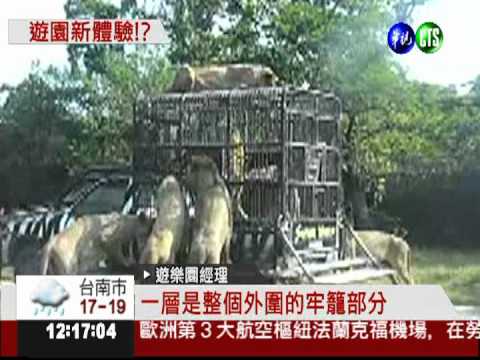 搭籠車看猛獸 動物園刺激新體驗