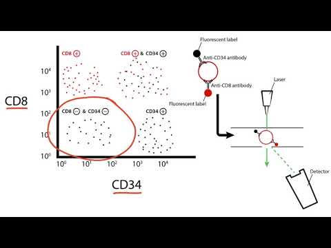 USMLE Step 1 Flow Cytometry