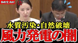 日本の海・山・川を壊す 恐ろしい風力発電の自然破壊 【参政党】【高市早苗】【神谷宗幣】【島村かおる】#参政党 #神谷宗幣 #和田政宗 #高市早苗