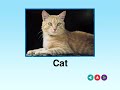 Baby Einstein Baby Mozart 2008 DVD Menu Walkthrough
