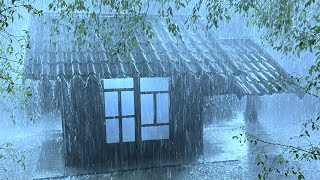 Optimize Sleep Quality with Pouring Rain & Thunder Roaring on a Fragile Tin Roof in the Woods