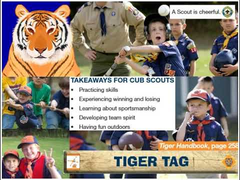 image-Why is scouting so expensive?