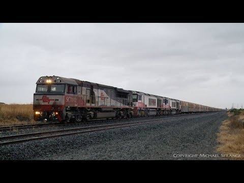 SCT 6PM9 Freight Train In Rain - PoathTV Australian Railways