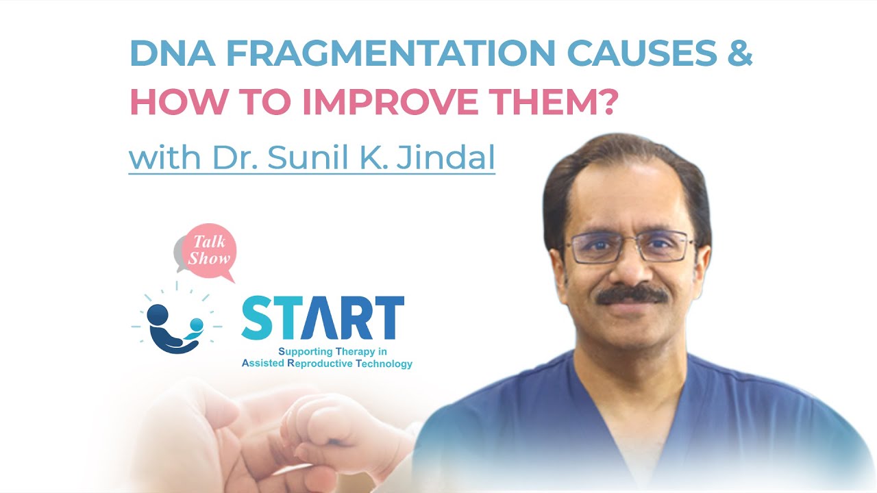 DNA Fragmentation causes & how to improve them