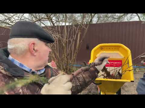 фото измельчитель-шредер бензиновый champion ch7648 0