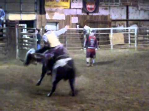 Brady Sims vs David Bailey Bull