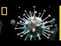 What is a Virus? | Breakthrough