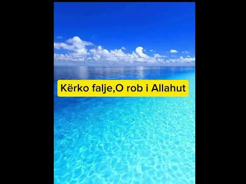 Kërko Falje O Rob i Allahut