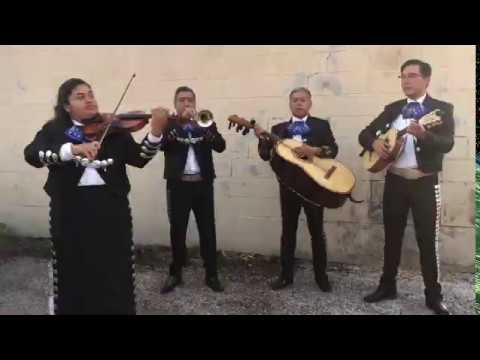 Promotional video thumbnail 7 for Mariachi Amor