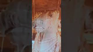 Download lagu SOMA 🌙 PRATHOSHAM.30.3.26 mp3