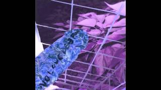 Death Grips | Bass Rattle Stars Out The Sky (CxS by The MechCannibal)