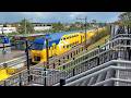 ‍ ️ Live Railcam Zandvoort ‍ ️