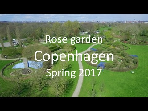 DJI Phantom 3 Advanced - Rose garden in Copenhagen