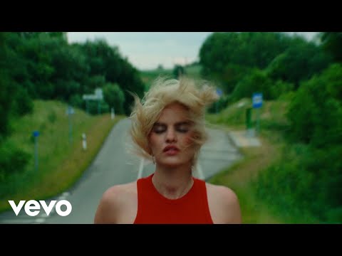 Vaidas Baumila - Gėlė