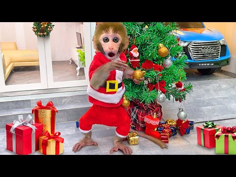 Bebé Mono BonBon se convierte en bruja y hace jugo arcoíris dulce - MONO BONBON ESP