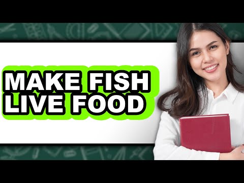 How to Make Fish Live Food (Full Guide)