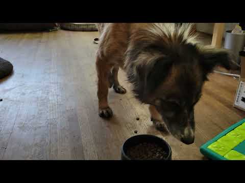 Nilofar 3 - So happy to be in Canada