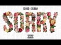 Rick Ross ft. Chris Brown  - Sorry (Explicit) [Official Audio]