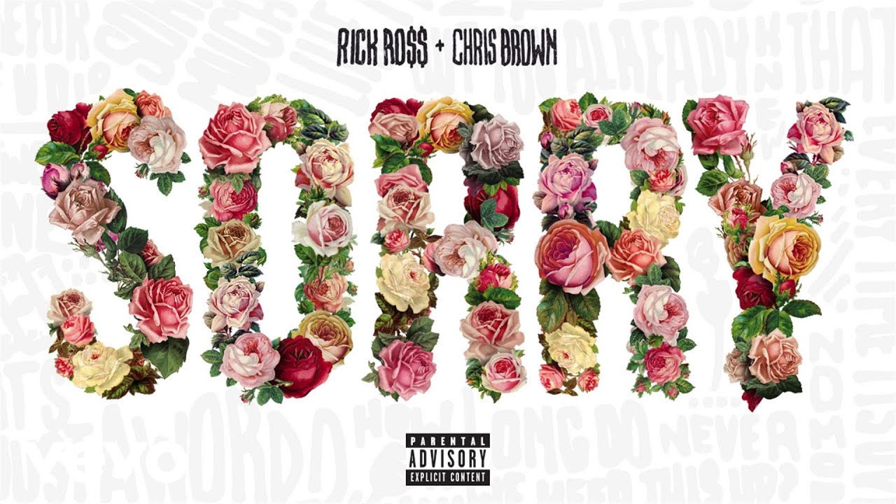 Chris Brown - Sorry