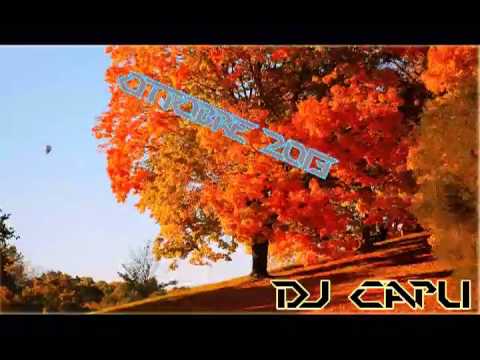 Selection House Commerciale - Ottobre 2013 - Dj Capu