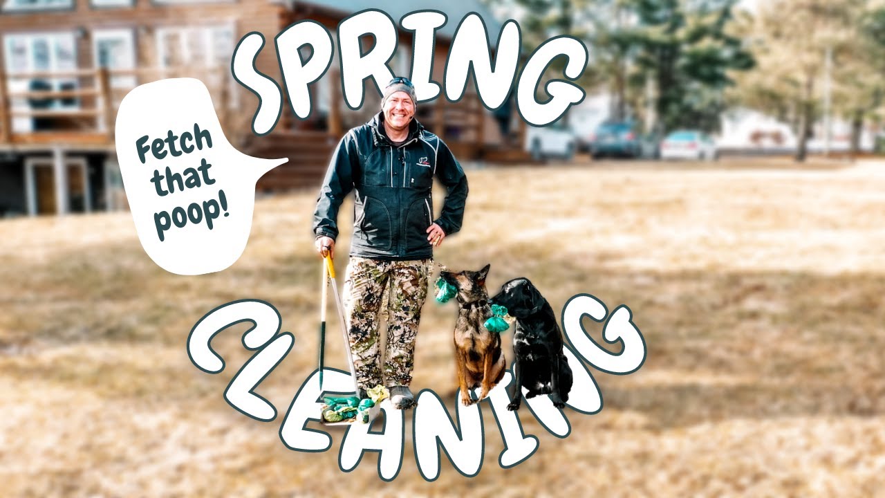 3 Lessons on How to Get Your Dogs to FETCH Their POOP BAGS