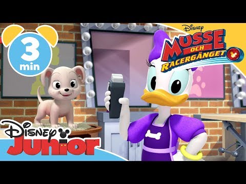Musse och Racergänget | Hundutställningen 🐶- Disney Junior Sverige